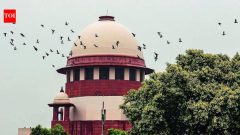 IndiaPaternity test of child can be allowed in marital dispute: SC