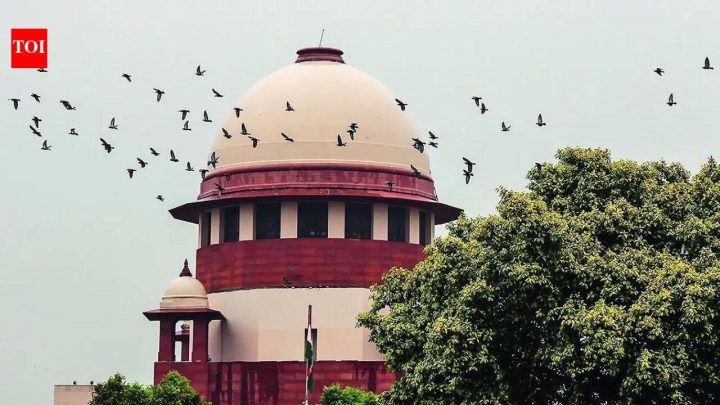 IndiaPaternity test of child can be allowed in marital dispute: SC