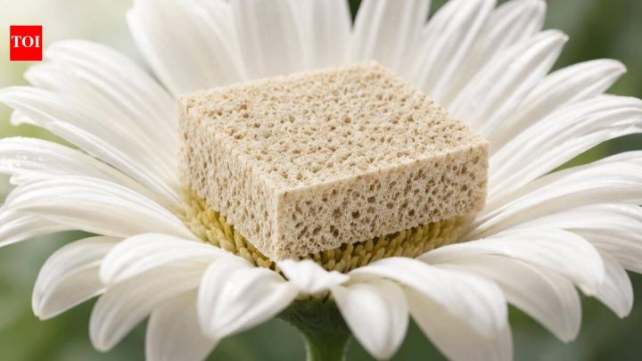 IndiaTOI impact story: IISc eco-friendly foam moves from lab to market
