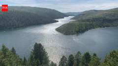 After 99% fish biomass vanished, Utah reservoir later produced 715,000 catches