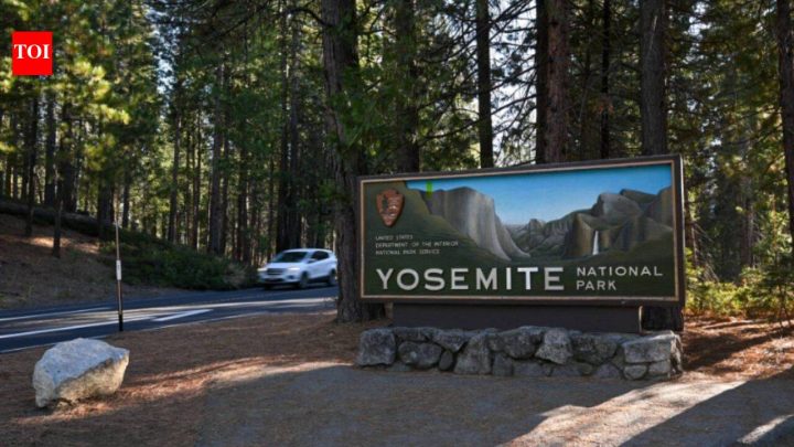 Developer bought 83 acres near Yosemite for $4m; US weighs land swap for road