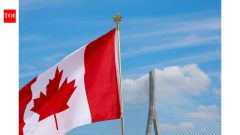 Tech NewsTravellers to Canada or those transiting through, here's authorisation you may need