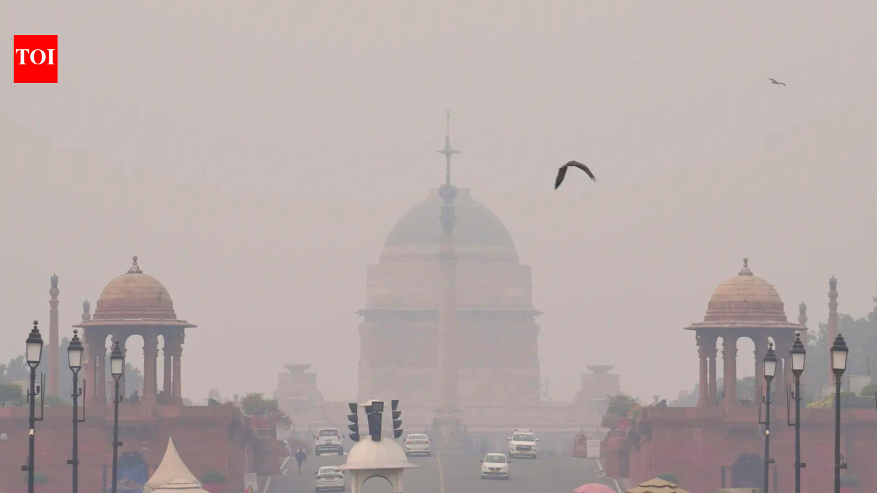 IndiaDelhi government orders construction ban for 42 days to tackle winter air pollution