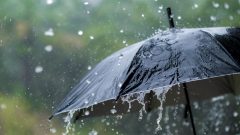 New Monsoon System to Bring Rainfall Till 6 September