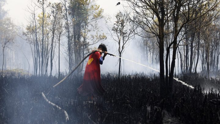 El Nino set to be most intense ‘for over a century’: UK forecasters