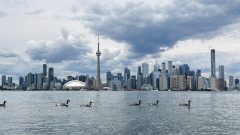 Trump floats renaming Lake Ontario to Lake America during Canada trade war