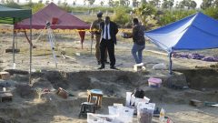 582 skeletons, including children, discovered in Sri Lanka mass grave