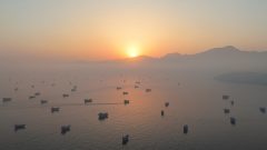 US opens secret oil shipping corridor through Hormuz amid Iran stalemate: Report