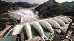 Power Generation Rises In July As Hydel And Coal Output Hit Record Highs