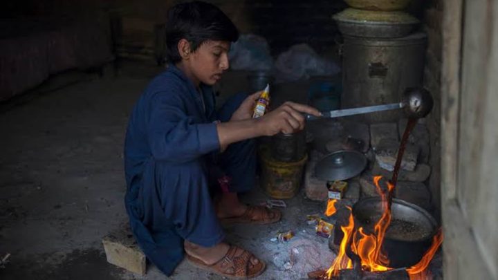 LPG Price Surge Pushes Cafes to Coal