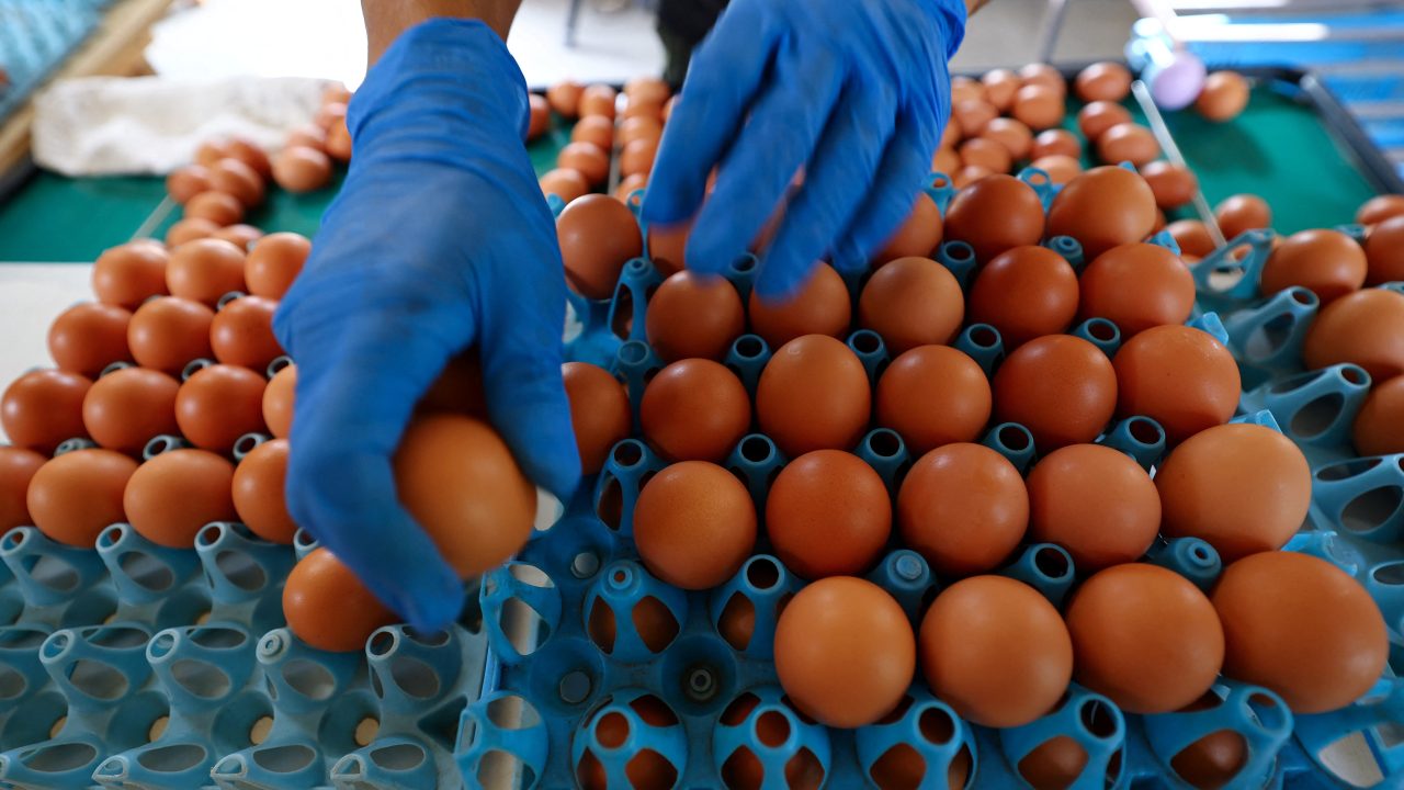 Dozens more Brits struck down by deadly salmonella outbreak – after imported eggs blamed and 7 countries report cases