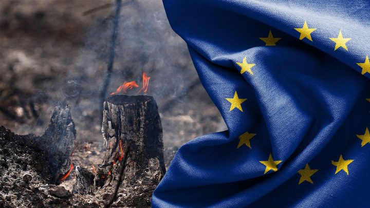 Heatwaves and energy crunch: Can Europe withstand a double shock?