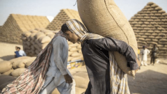 Pakistan Could Face 3 Million Ton Wheat Shortfall Without Support Price