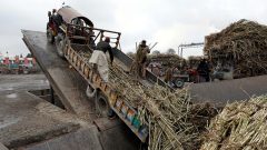 Pak sugar in India? Millers hopeful despite trade ban as Delhi removes import duty