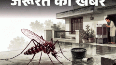 जरूरत की खबर- बारिश में बढ़ते डेंगू-मलेरिया के केसेज: घर में इन जगहों पर छिपे हो सकते हैं मच्छर, एक्सपर्ट से जानें कैसे करें बचाव1:28Play video