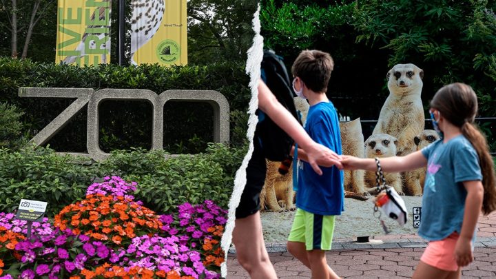 Gender equity, DEI, climate action: How the Smithsonian’s woke push ‘infiltrated’ America's most beloved Zoo