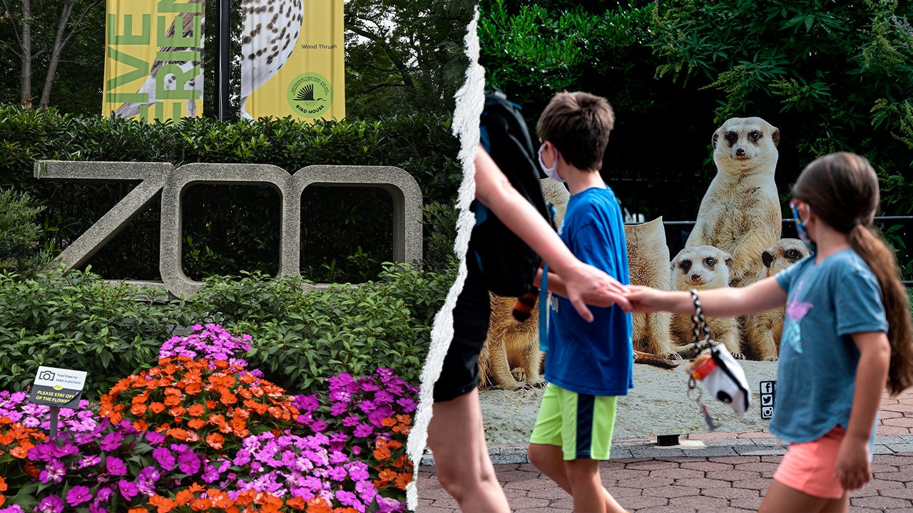 Gender equity, DEI, climate action: How the Smithsonian’s woke push ‘infiltrated’ America's most beloved Zoo