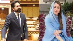 Momina Iqbal's harassment case: Lahore court disposes of PML-N MPA Saqib Chadhar, wife's bail pleas as withdrawn