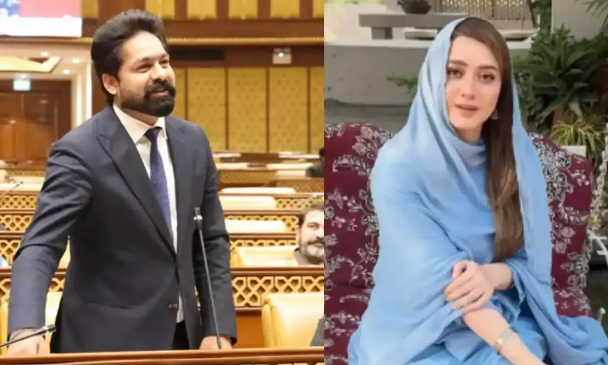 Momina Iqbal's harassment case: Lahore court disposes of PML-N MPA Saqib Chadhar, wife's bail pleas as withdrawn