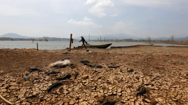 'World in danger zone': UN says El Nino likely to intensify, may become strongest ever recorded