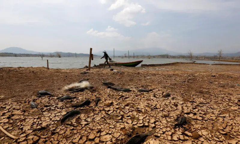 'World in danger zone': UN says El Nino likely to intensify, may become strongest ever recorded