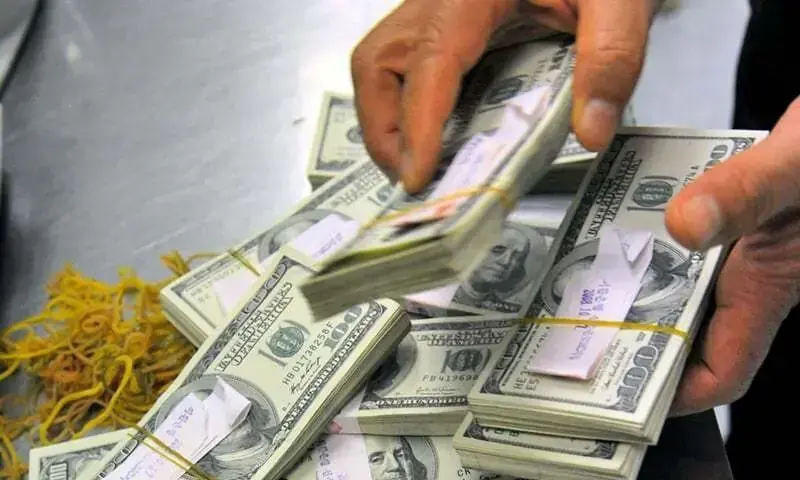 Hawala networks increasingly use virtual assets, fintech to conceal illicit wealth: FATF, OECD
