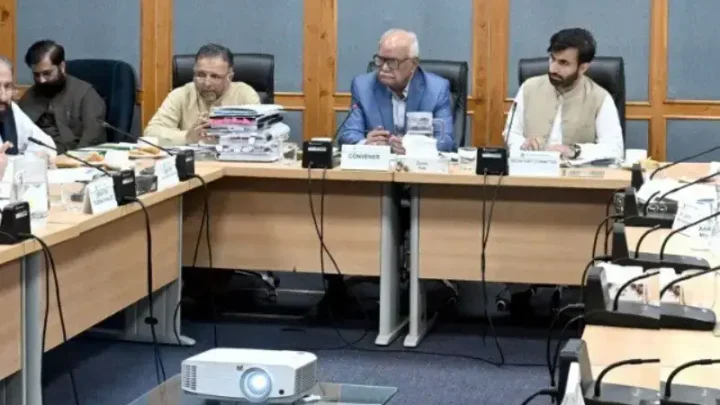 Lawmakers voice concern over Wapda’s proposed ‘powers of arrest’