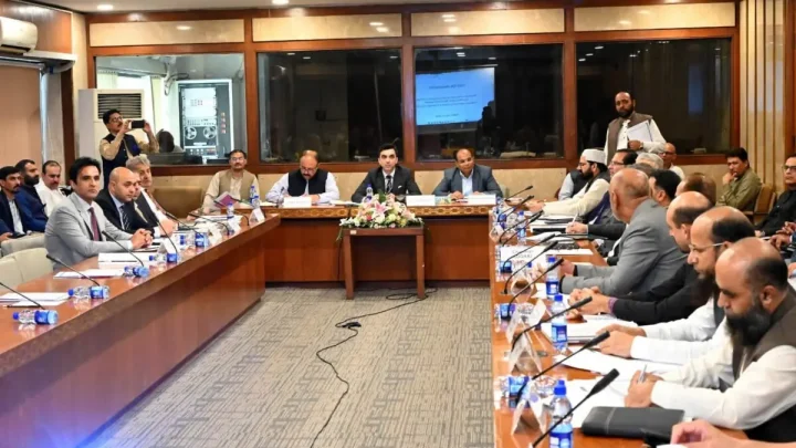 PPP blocks two gas revenue bills amid rift with govt