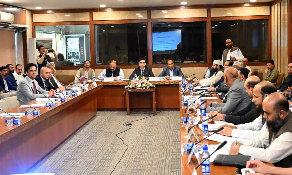 PPP blocks two gas revenue bills amid rift with govt