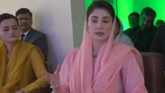 Punjab faces more threat 'from neighbouring provinces’ than bordering countries: CM Maryam