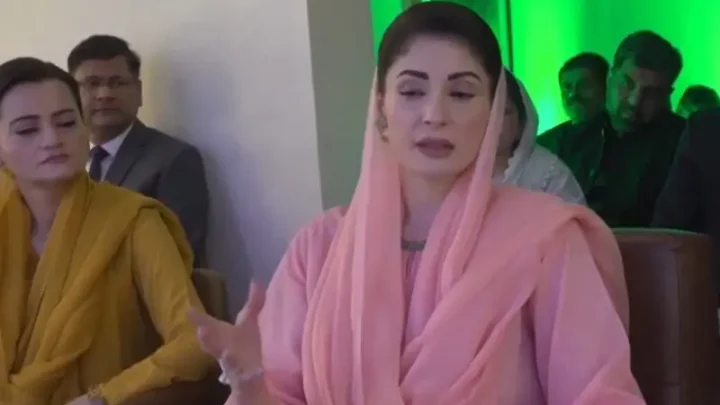 Punjab faces more threat 'from neighbouring provinces’ than bordering countries: CM Maryam