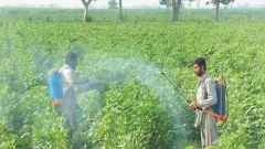 Digital model for pesticide regulation unveiled