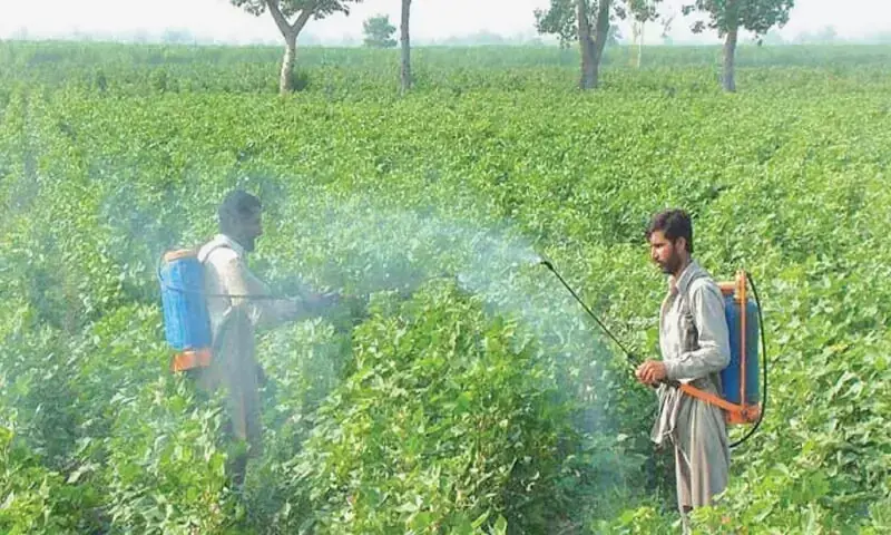 Digital model for pesticide regulation unveiled