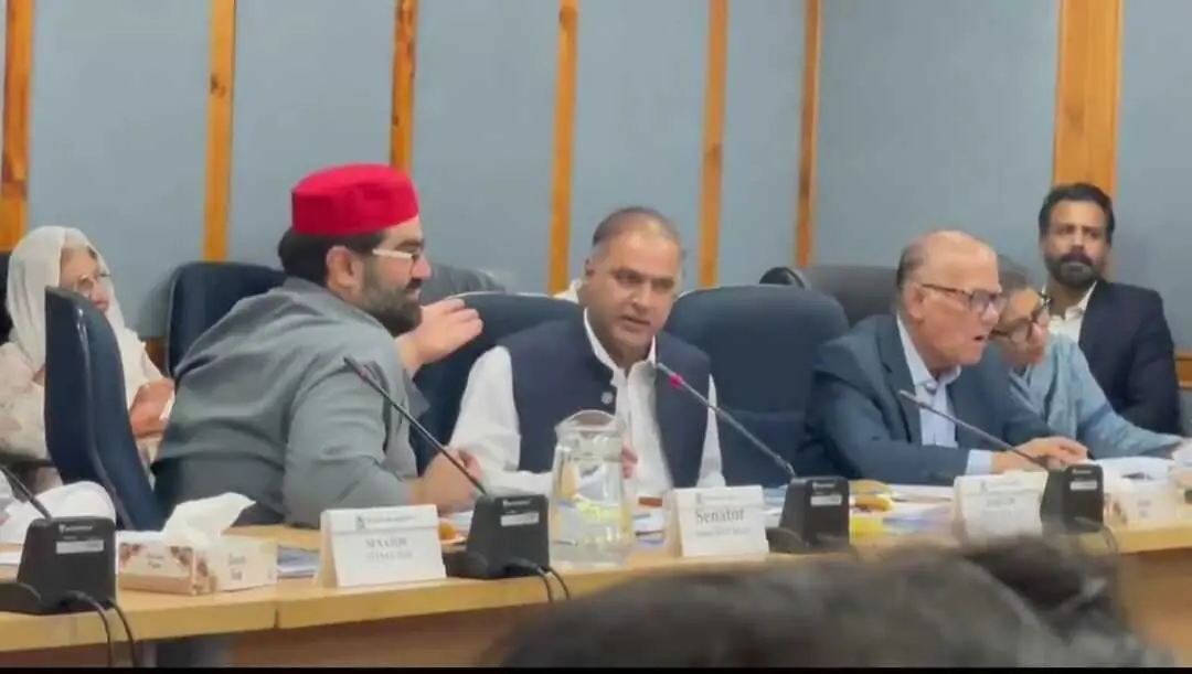 PML-N, ANP senators spar over death of Gujranwala sanitary worker at Senate committee meeting