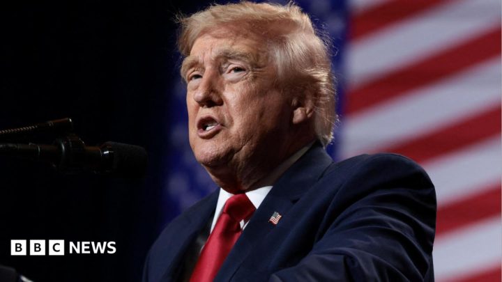 Trump's comments on a united Ireland may have targeted audience across the Atlantic