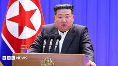 N Korea has built two-storey uranium enrichment facility, says watchdog