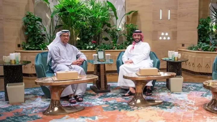 Saudi crown prince, UAE vice president meet in Riyadh: report