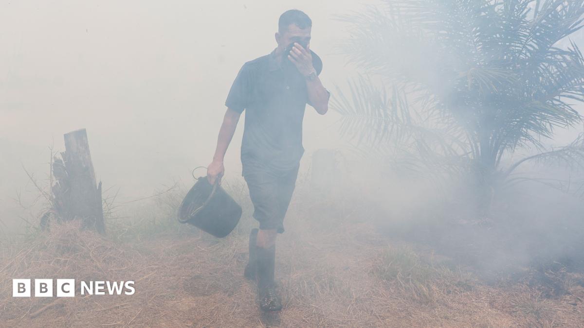 Watch: How toxic smog from wildfires is making Indonesians sick