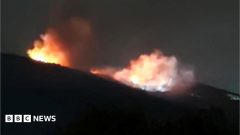 Bulgaria investigates fire at weapons  site that owner calls sabotage