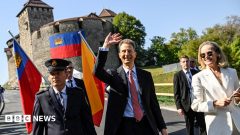 Liechtenstein MPs vote to legalise abortion despite threat of veto