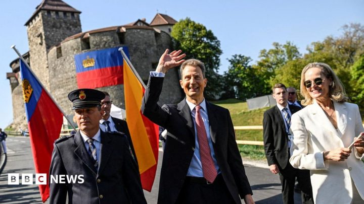 Liechtenstein MPs vote to legalise abortion despite threat of veto