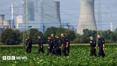 Suspect held in Germany after spate of sabotage attacks on power grid