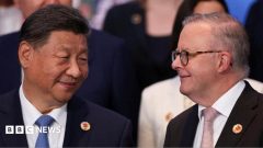 Stuck between superpowers: How Australia navigates the China-US rivalry