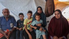 Seven mouths, one meal: Feeding a family through Gaza’s food crisis