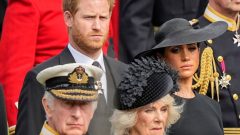Harry and Meghan surprised by the way Buckingham Palace released letter on non-working royal status