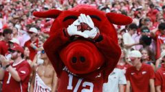 Arkansas football fans sent message on Saturday. It was impossible to miss
