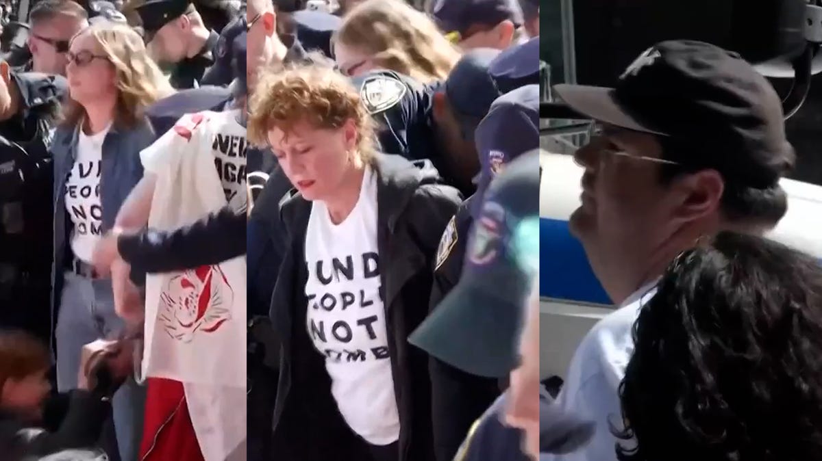 Susan Sarandon, Hannah Einbinder arrested during Benjamin Netanyahu protest