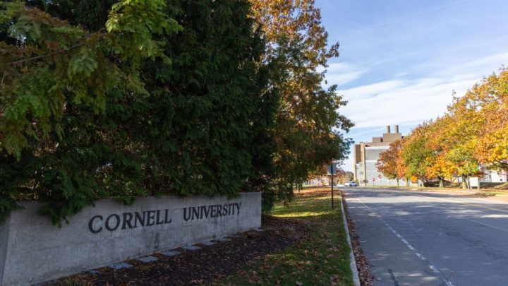 ‘Absolutely disgusted’: Cornell gang rape allegations spark fury online