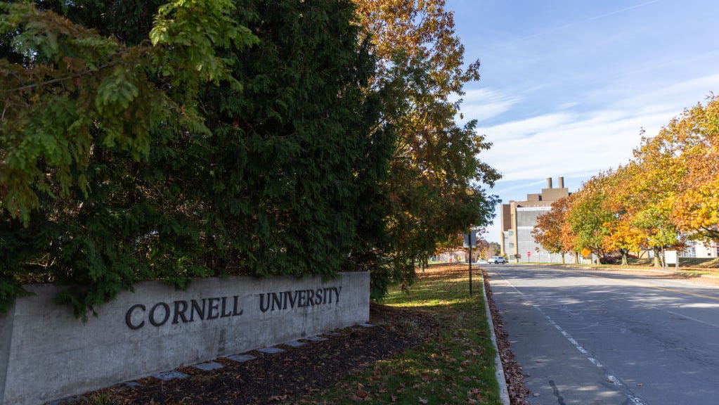 'Absolutely disgusted': Cornell gang rape allegations spark fury online