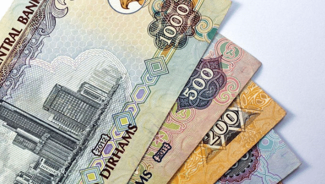 UAE Dirham Likely to Fall Below Rs. 75 Against Pakistani Rupee
